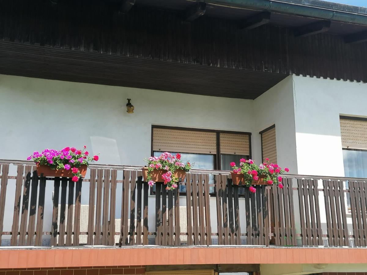 Apartments Novak Ljubno Екстер'єр фото