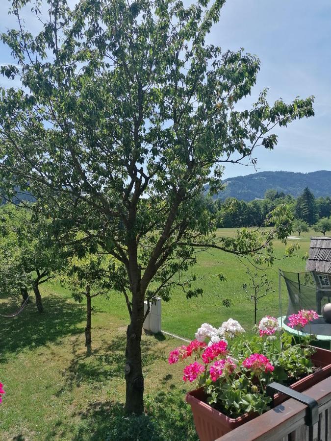 Apartments Novak Ljubno Екстер'єр фото