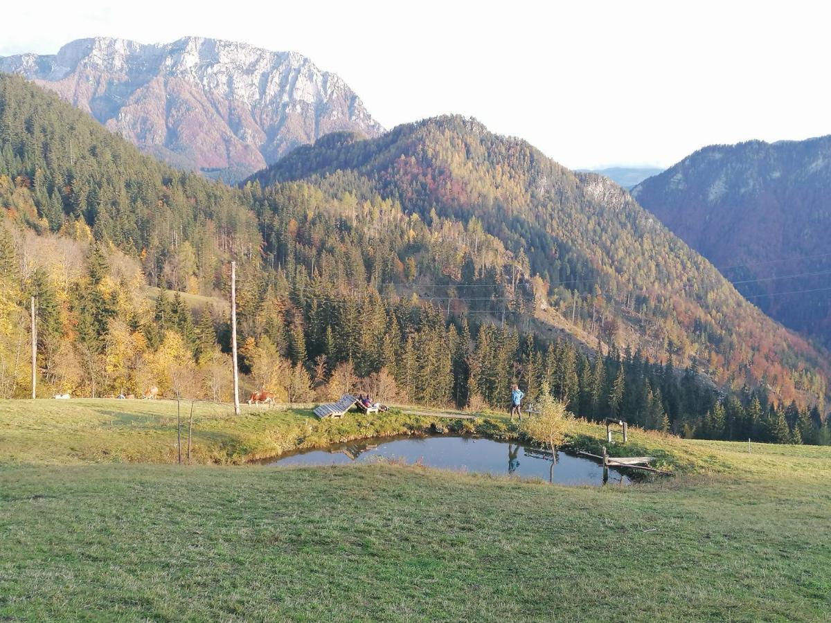 Apartments Novak Ljubno Екстер'єр фото