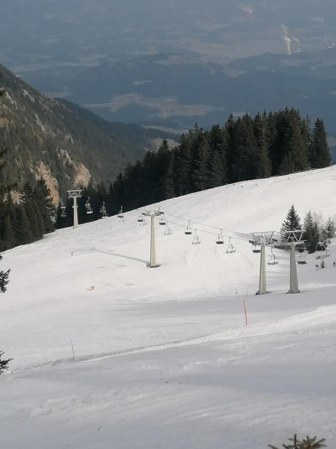 Apartments Novak Ljubno Екстер'єр фото