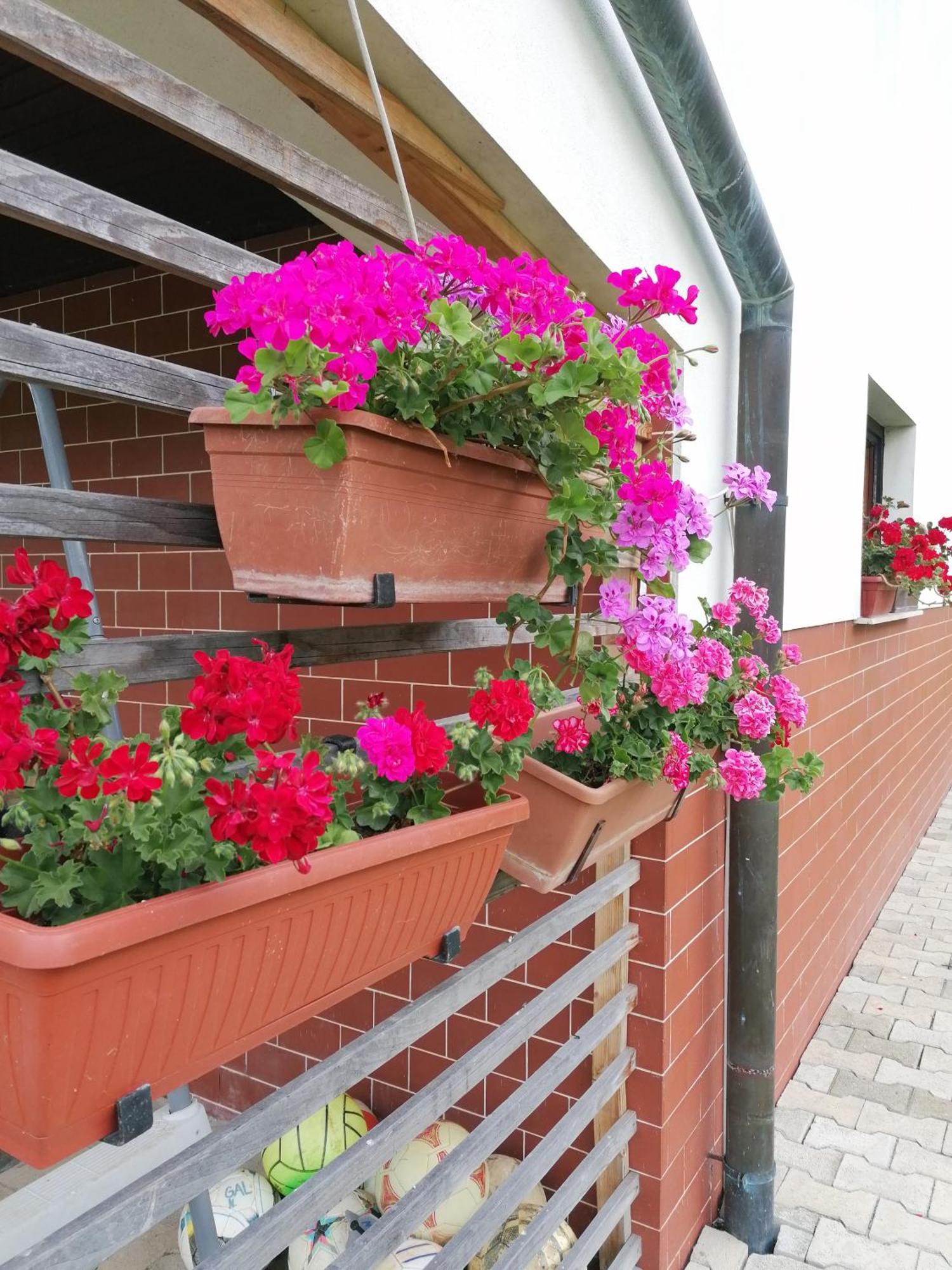 Apartments Novak Ljubno Екстер'єр фото