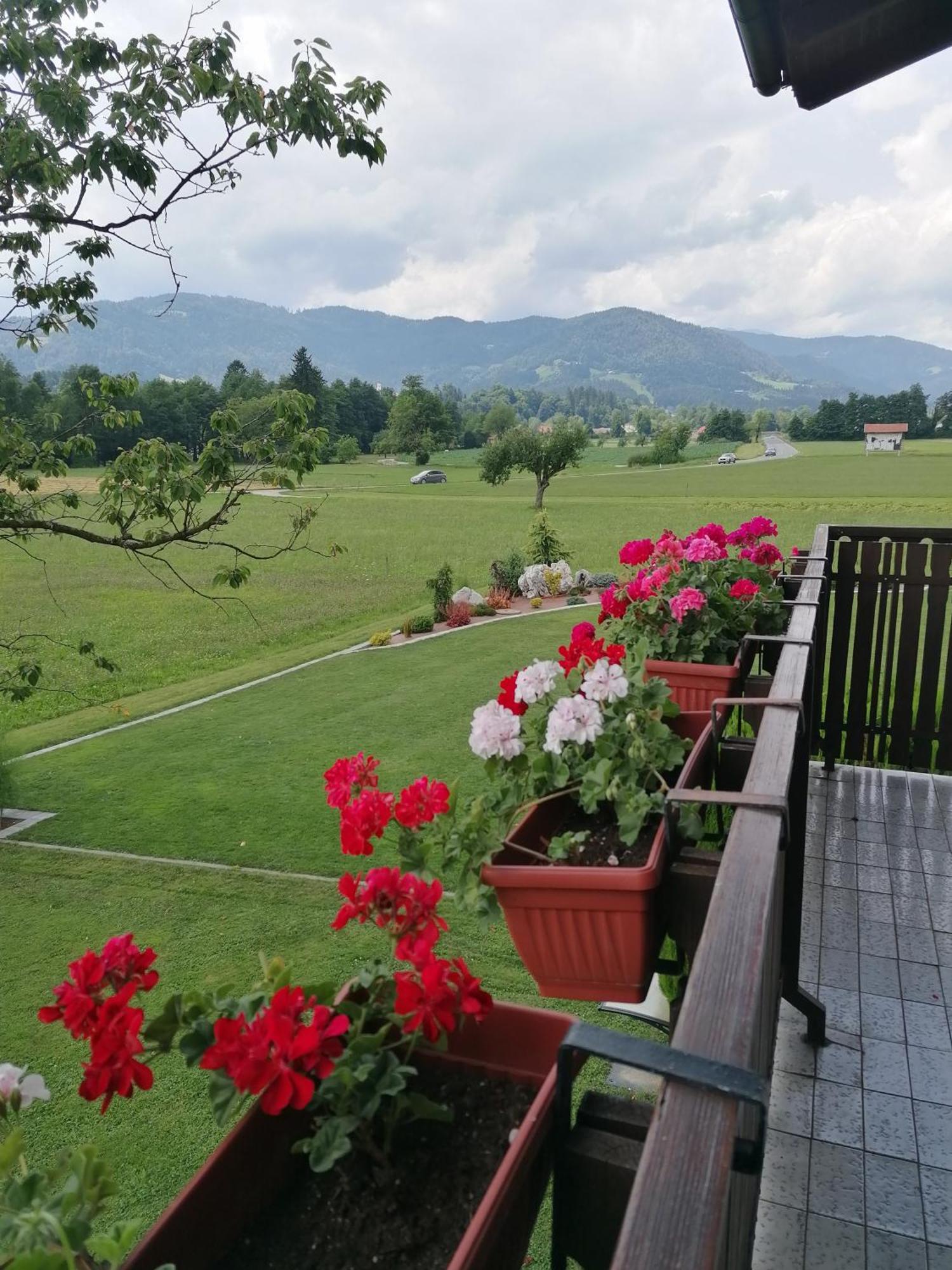 Apartments Novak Ljubno Екстер'єр фото