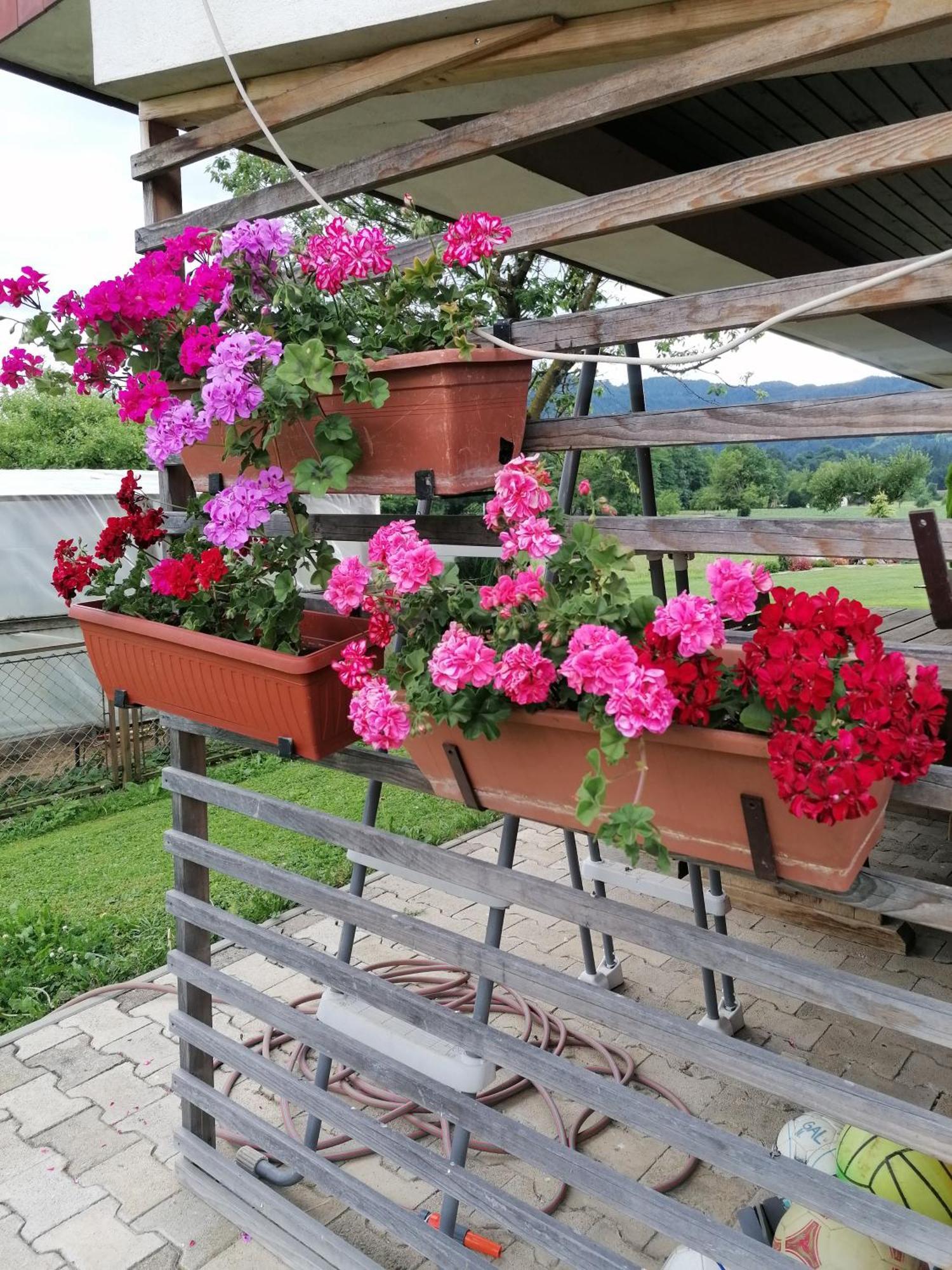 Apartments Novak Ljubno Екстер'єр фото